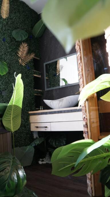 Apartament Sunset Six-Fours-les-Plages Zewnętrze zdjęcie
