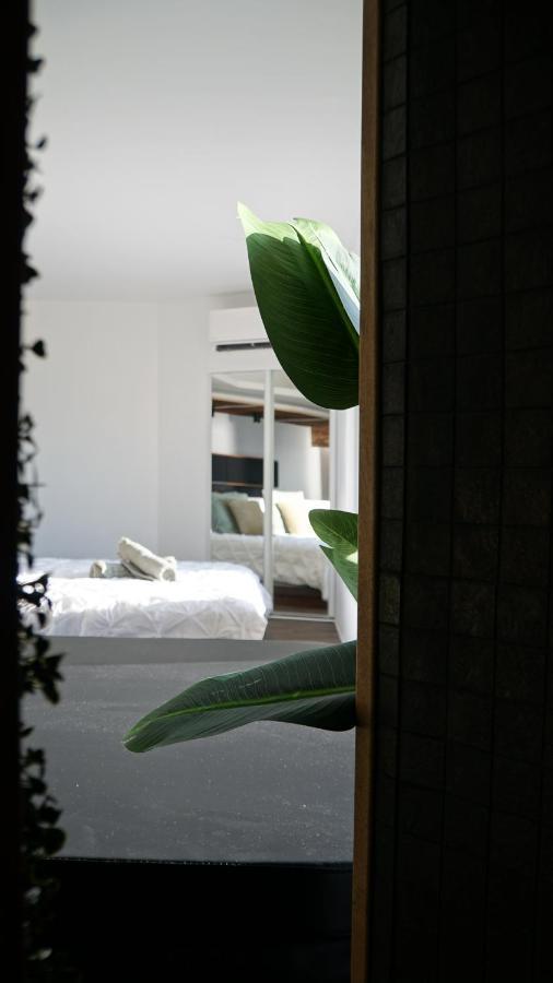 Apartament Sunset Six-Fours-les-Plages Zewnętrze zdjęcie